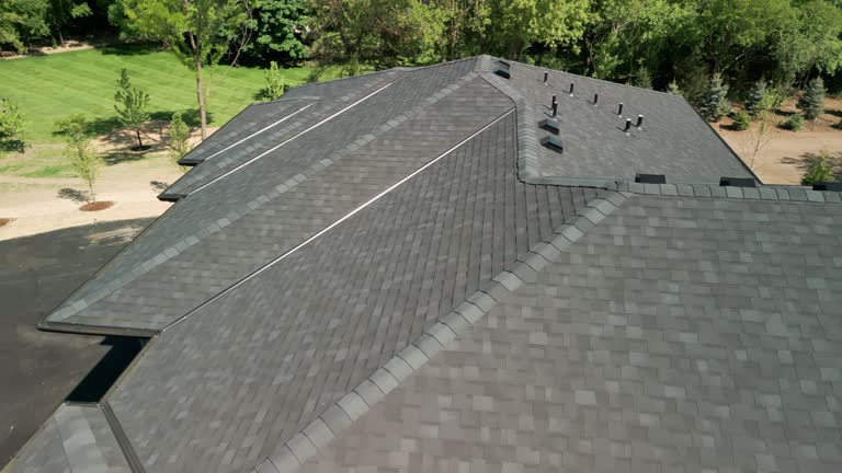 Best Roof Moss and Algae Removal  in Crest Hl, IL