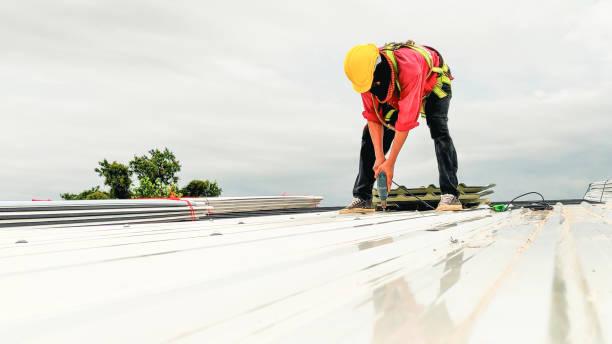 Professional Roofing Services in Crest Hill, IL